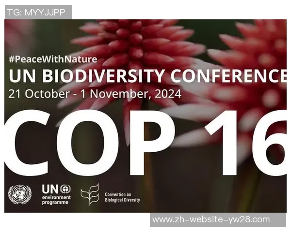 奥兰多与蒙特利尔激战正酣谁能在这场较量中笑到最后 奥兰多与蒙特利尔激战正酣谁能在这场较量中笑到最后